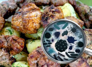 Why September Sees the Most Food Poisoning Cases: Tips to Stay Safe